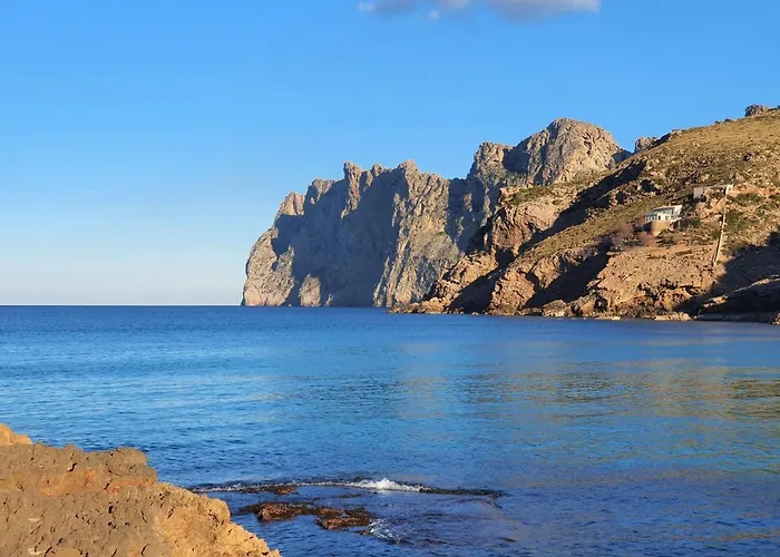 Molins 7